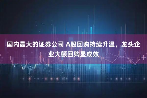 国内最大的证券公司 A股回购持续升温，龙头企业大额回购显成效